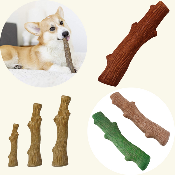 The Best Chew Toys for Dogs