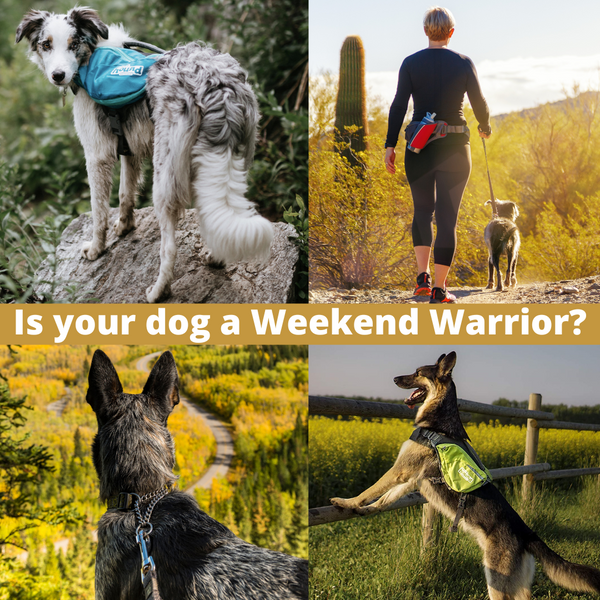 Is your dog a Weekend Warrior?