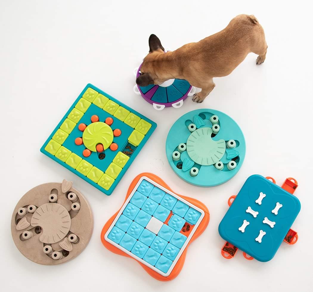 DOG SMART - COMPOSITE - Nina Ottosson Treat Puzzle Games for Dogs & Cats
