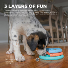 Load image into Gallery viewer, Nina Ottosson Puppy Lickin&#39; Layers