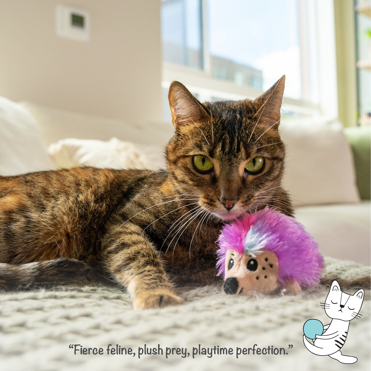 Catnip Plushies Hedgehog McMac Pet SA