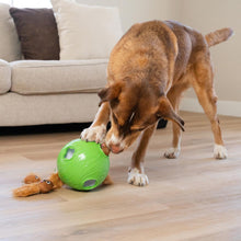 Load image into Gallery viewer, Dog Snuffle N&#39; Treat Ball
