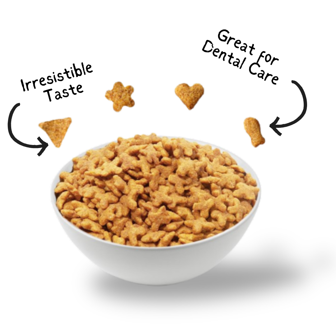 Kit Cat Kitty Crunch (60g) – McMac Pet SA
