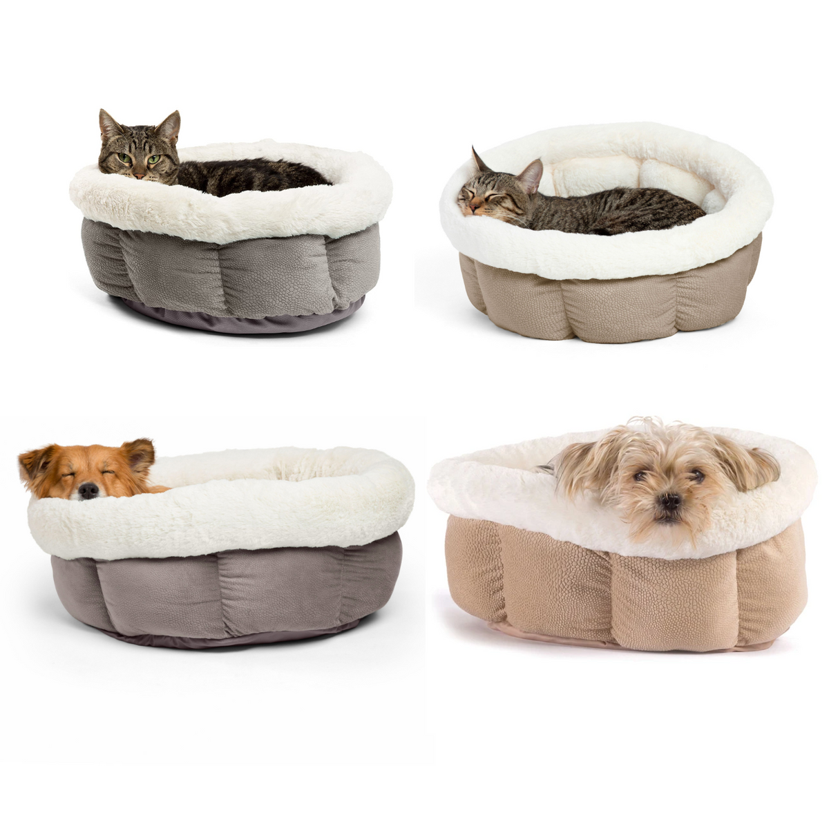 Best Friends by Sheri Cuddle Cup Ilan Dog Cat Bed – McMac Pet SA