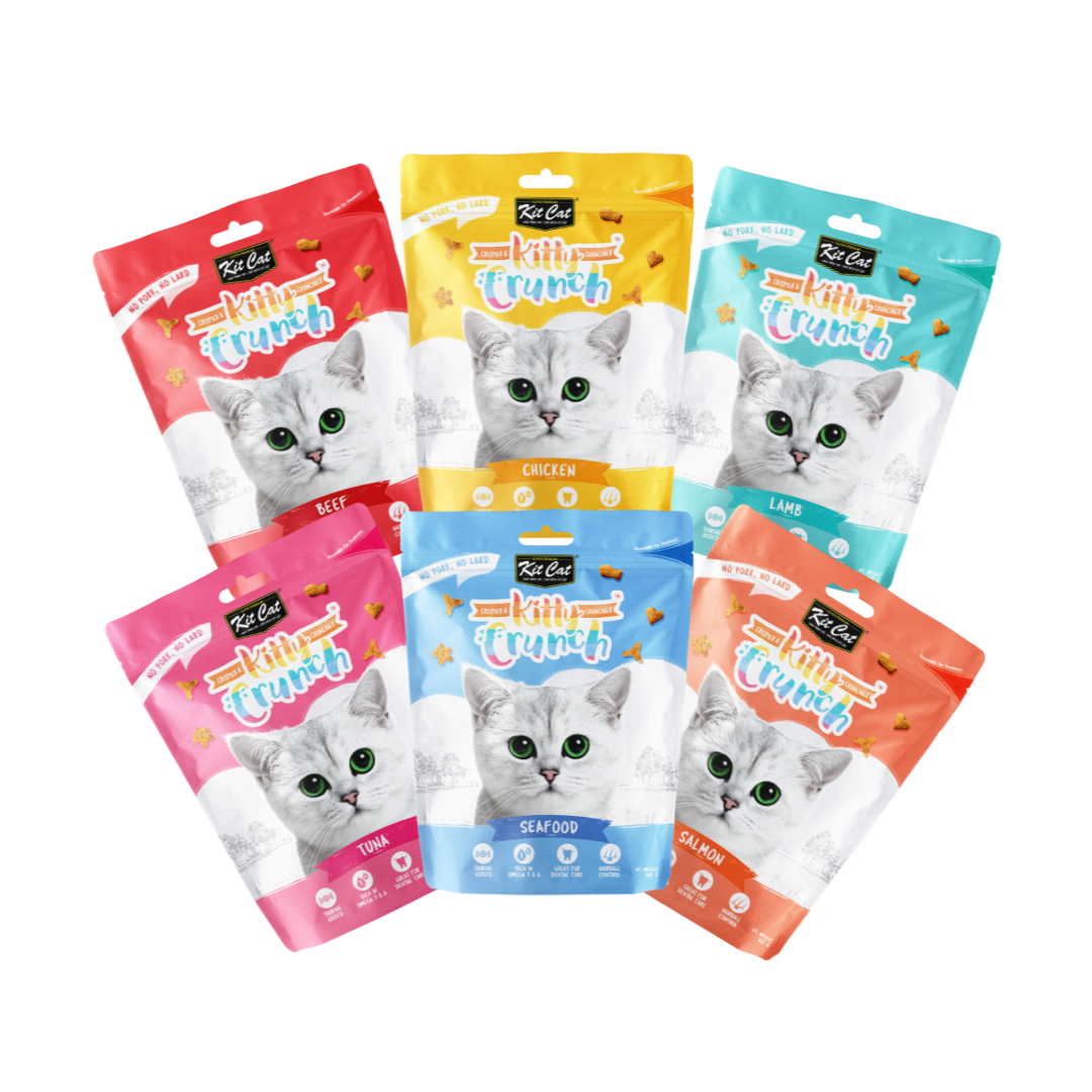 Kit Cat Kitty Crunch (60g) – McMac Pet SA