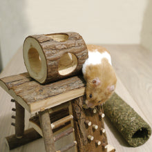 Load image into Gallery viewer, Naturals Activity Climbing Tower for Small Animals (eg. Hamsters)