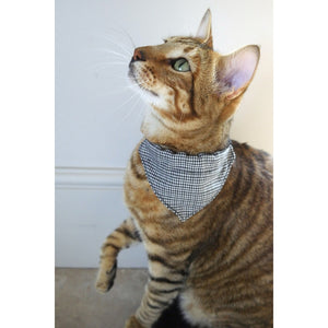 Cat Collar Designer Dogtooth Bandana