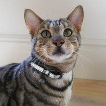 Load image into Gallery viewer, Cat Collar Silver