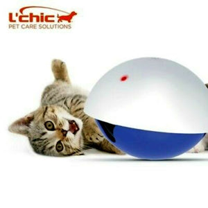 L'Chic Laser Cat