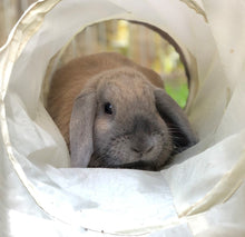 Load image into Gallery viewer, Rabbit Activity Tunnel Single (90cm)