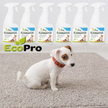 Load image into Gallery viewer, EcoPro Stain &amp; Odour Eliminator Bulk Deal (6x500ml)