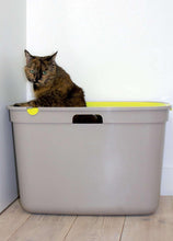 Load image into Gallery viewer, Top Cat Toilet