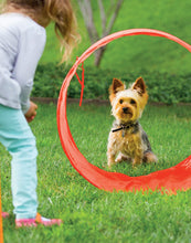 Load image into Gallery viewer, Outward Hound ZipZoom Outdoor Agility Kit