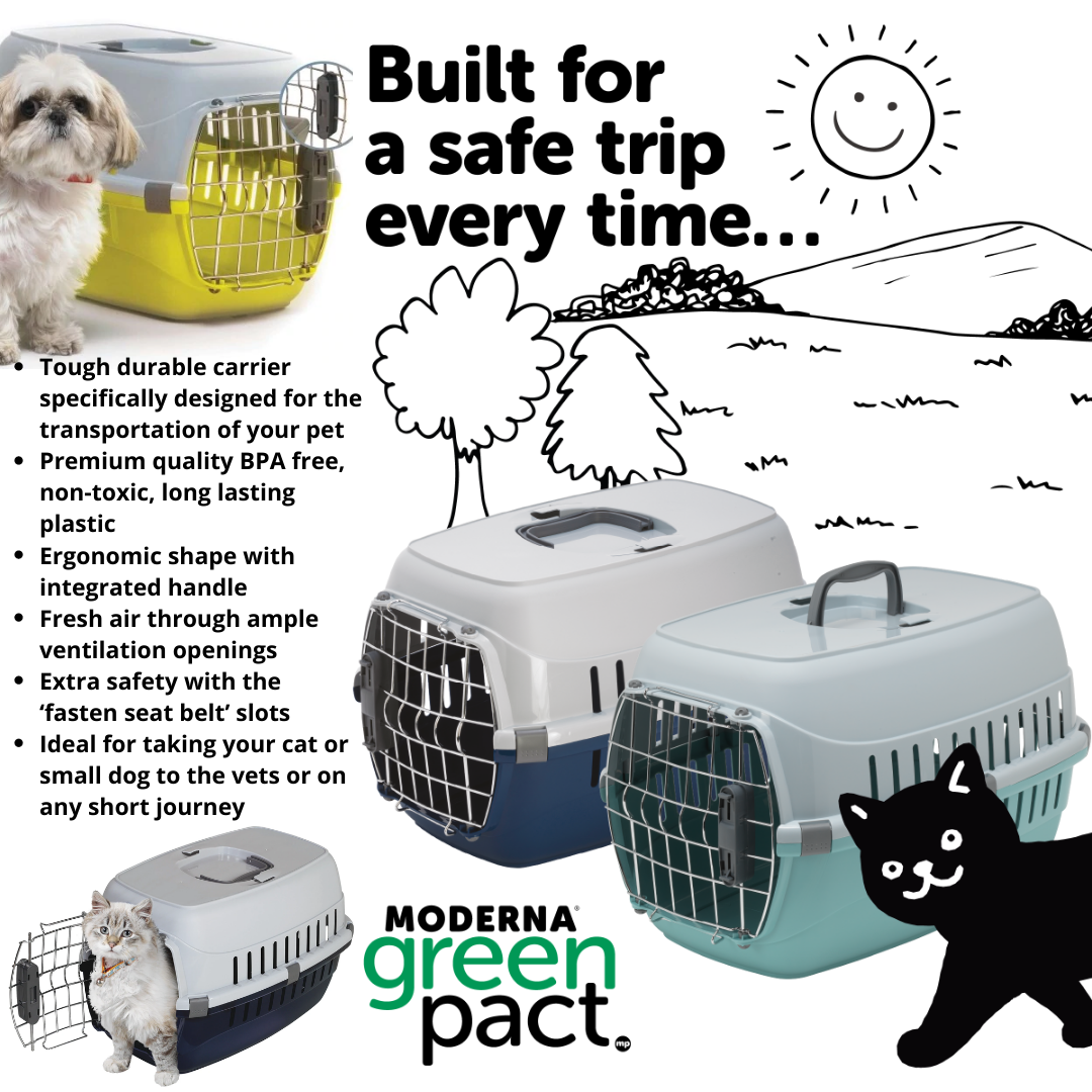 Travel safely with your pet – McMac Pet SA