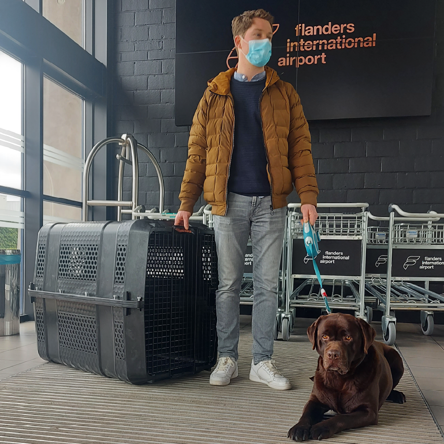Flying with your Pet – McMac Pet SA