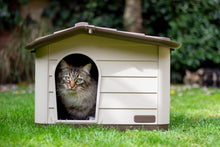 Load image into Gallery viewer, Rosewood Small Pet Knock-Down House (59cm x 51cm x 41cm)