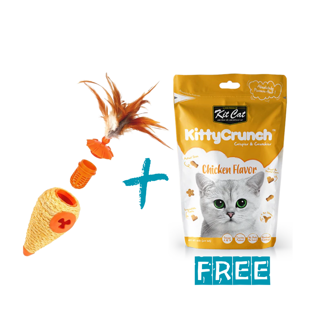 L'Chic Roll Play Cone + FREE Kitty Crunch