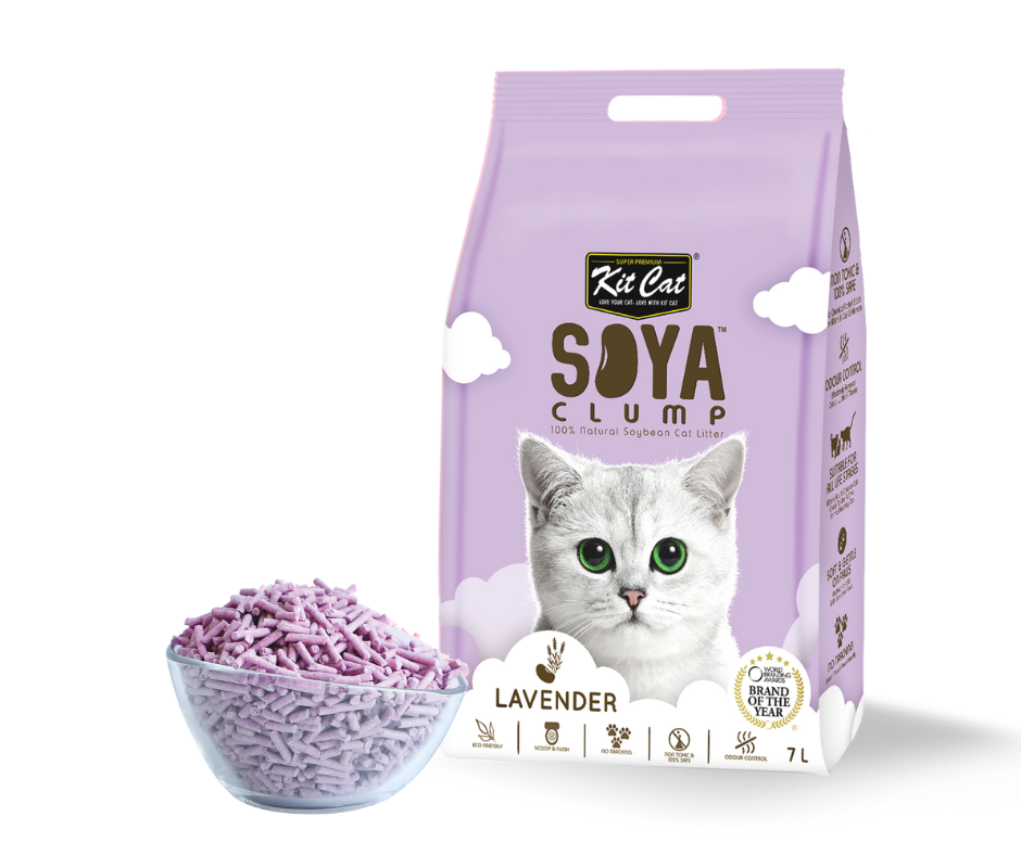 Kit Cat Soya Clump Cat Litter Bulk Deal McMac Pet SA