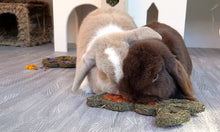 Load image into Gallery viewer, Carrot n&#39; Forage Bunny