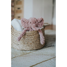 Load image into Gallery viewer, Rosewood My Dog Calming Elephant