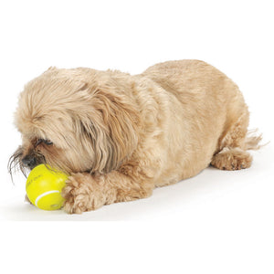 Planet Dog Tennis Ball