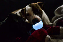 Load image into Gallery viewer, Planet Dog Orbee-Tuff Strobe Ball