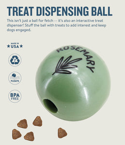 Planet Dog Orbee-Tuff Essentials Scented Ball Treat Dispenser