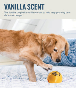 Planet Dog Orbee-Tuff Essentials Scented Ball Treat Dispenser