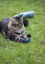 Load image into Gallery viewer, Battersea Pounce Balls (4pc)