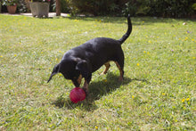 Load image into Gallery viewer, BioSafe Puppy Ball