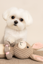 Load image into Gallery viewer, Charming Pet Thunder Tuggerz Bunny