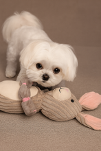 Load image into Gallery viewer, Charming Pet Thunder Tuggerz Bunny