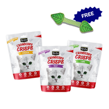 Load image into Gallery viewer, Kit Cat Cranberry Crisps (60g) Bundle + FREE Dental Mint Stick
