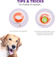 Load image into Gallery viewer, Dog Rumble Puzzle - Topsy Treat Toy
