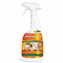 Load image into Gallery viewer, EcoPro Advanced Dog Urine &amp; Odour Eliminator- Bulk Deal (500ml x 3)