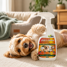 Load image into Gallery viewer, EcoPro Advanced Dog Urine &amp; Odour Eliminator- Bulk Deal (500ml x 3)
