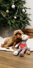Load image into Gallery viewer, Festive Teddy