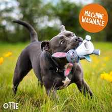 Load image into Gallery viewer, Rosewood Flingerz