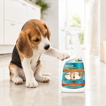 Load image into Gallery viewer, EcoPro Floor Rescue Spot Spray (500ml)