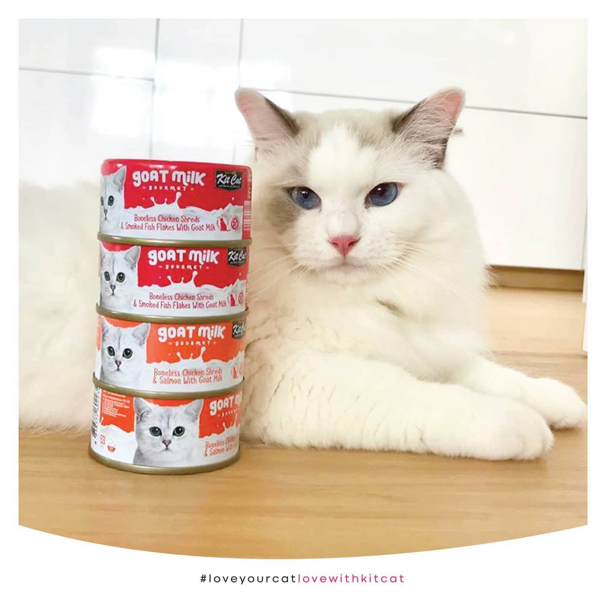 Kit Cat Goat Milk Gourmet (70g) – McMac Pet SA