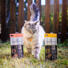 Load image into Gallery viewer, Meow More Cat Treat Sticks (15g)