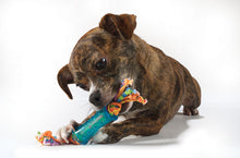 Load image into Gallery viewer, Petstages® Mini Dental Chew Pack