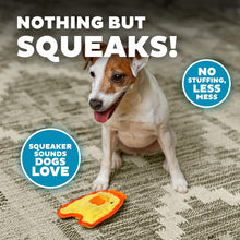 Load image into Gallery viewer, Outward Hound Durablez Mini Chicky