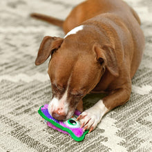 Load image into Gallery viewer, Outward Hound Durablez Mini Owl