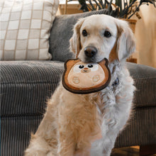 Load image into Gallery viewer, Outward Hound Tough Skinz Hedgie Small