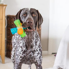 Load image into Gallery viewer, Outward Hound Triple Jack