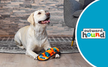 Load image into Gallery viewer, Outward Hound Durablez Snake LG