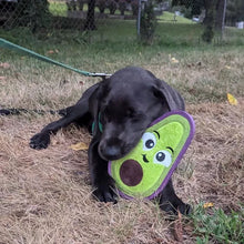 Load image into Gallery viewer, Outward Hound Tough Skinz Avocado