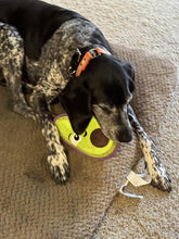 Load image into Gallery viewer, Outward Hound Tough Skinz Avocado