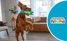 Load image into Gallery viewer, Outward Hound Big Squeak Dino MD